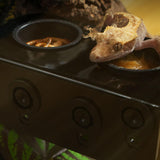 Maxbell Hanging Reptile Feeding Tray with Suction Cup Food Bowl for Lizard Chameleon Dual Slots