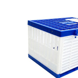 Maxbell Foldable Pigeon Cage Training and Release Competition for Home Farms Outdoor M