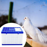 Maxbell Foldable Pigeon Cage Training and Release Competition for Home Farms Outdoor M