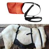 Maxbell Goats Anti Breeding Apron Breathable Livestock Clothing with Adjustable Strap
