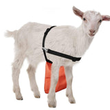 Maxbell Goats Anti Breeding Apron Breathable Livestock Clothing with Adjustable Strap