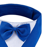 Maxbell Dog Bandana Puppy Soft Dog Kerchief for Halloween Holiday Children's Day Blue