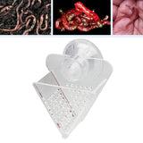 Maxbell Fish Feeder Cup Acrylic with Suction Cup Clear Cone Cup for Frozen Fish Food