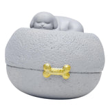 Maxbell Pet Ash Container Dog Cremation Urn Accessories Handicraft Lightweight Resin
