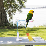 Maxbell Perch Stand Stable Sturdy Versatile Portable Parrot Stand for Indoor Outdoor Blue