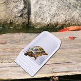 Maxbell Tortoise Water Dish Multifunctional Reusable with Steps Ramp Tortoise Feeder