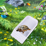 Maxbell Tortoise Water Dish Multifunctional Reusable with Steps Ramp Tortoise Feeder