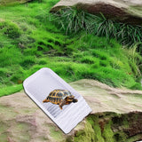 Maxbell Tortoise Water Dish Multifunctional Reusable with Steps Ramp Tortoise Feeder