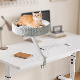 Cat Desktop Bed with Holder Bracket Soft Nest Bed for Tabletop Indoor Office