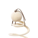 Maxbell Interactive Cat Toy Creative Pet Supplies Exerciser Game