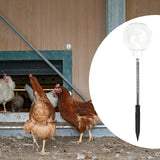 Maxbell Chicken Peck Toy Multifunctional Enrichment Interactive for Birds Chick Duck