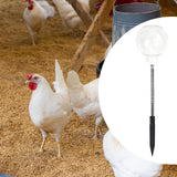 Maxbell Chicken Peck Toy Multifunctional Enrichment Interactive for Birds Chick Duck