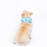 Maxbell Dog Cooling Bandana Ice Pet Cooling Collar for Outdoor Indoor Hiking Fishing S
