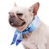 Maxbell Dog Cooling Bandana for Hot Weather Portable Breathable Ice Scarf S