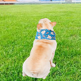 Maxbell Dog Cooling Bandana Breathable Soft Summer Collar for Fishing Indoor Camping Blue and L
