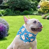 Maxbell Dog Cooling Bandana Breathable Soft Summer Collar for Fishing Indoor Camping Blue and S