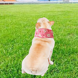 Maxbell Dog Cooling Bandana Breathable Soft Summer Collar for Fishing Indoor Camping Pink and L