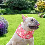 Maxbell Dog Cooling Bandana Breathable Soft Summer Collar for Fishing Indoor Camping Pink and S