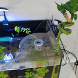 Maxbell Corner Fish Tank Shelf Organizer Coral Frag Holder for Family Adults Friends White