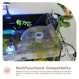 Maxbell Corner Fish Tank Shelf Organizer Coral Frag Holder for Family Adults Friends White