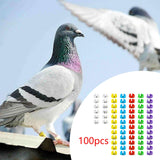 Maxbell 100Pcs Bird Leg Bands Bird Identification Leg Bands for Small Poultry Quails