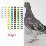 Maxbell 100Pcs Bird Leg Bands Bird Identification Leg Bands for Small Poultry Quails