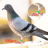 Maxbell 100Pcs Bird Leg Bands Bird Identification Leg Bands for Small Poultry Quails