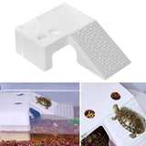 Maxbell Turtle Resting Basking Platform Turtle Tank Platform for Amphibians Terrapin Medium
