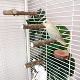 Maxbell Cage Parrot Perch 4 Pcs Parrot Wooden Stand for Hammock Cockatiels Parakeets