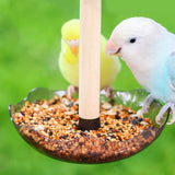 Maxbell Bird Feeder Hanging Convenient with Food Tray for Conures Cockatiels Parrots