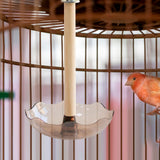 Maxbell Bird Feeder Hanging Convenient with Food Tray for Conures Cockatiels Parrots