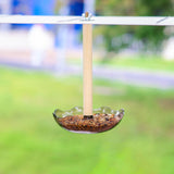 Maxbell Bird Feeder Hanging Convenient with Food Tray for Conures Cockatiels Parrots