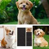 Maxbell Dog Nail Scratch Board with Treat Box Easy to Use Puppy with Treat Dispenser