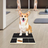 Maxbell Dog Nail Scratch Board with Treat Box Easy to Use Puppy with Treat Dispenser