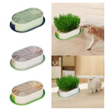 Maxbell Cat Grass Germination Starter Planter Multifunctional Wheatgrass Growing Pot Dark and Light Green