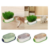 Maxbell Cat Grass Germination Starter Planter Multifunctional Wheatgrass Growing Pot Dark and Light Green