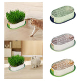 Maxbell Cat Grass Germination Starter Planter Multifunctional Wheatgrass Growing Pot Dark and Light Green