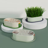 Maxbell Cat Grass Germination Starter Planter Multifunctional Wheatgrass Growing Pot Dark and Light Green