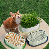 Maxbell Cat Grass Germination Starter Planter Multifunctional Wheatgrass Growing Pot Dark and Light Green