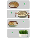 Maxbell Cat Grass Germination Starter Planter Multifunctional Wheatgrass Growing Pot Dark and Light Green
