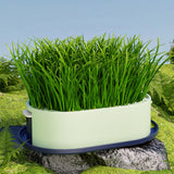 Maxbell Cat Grass Germination Starter Planter Multifunctional Wheatgrass Growing Pot Dark and Light Green