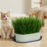 Maxbell Cat Grass Germination Starter Planter Multifunctional Wheatgrass Growing Pot Dark and Light Green
