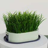 Maxbell Cat Grass Germination Starter Planter Multifunctional Wheatgrass Growing Pot Dark and Light Green