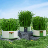 Maxbell Cat Grass Germination Starter Planter Multifunctional Wheatgrass Growing Pot Green and Pink