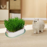 Maxbell Cat Grass Germination Starter Planter Multifunctional Wheatgrass Growing Pot Green and Pink