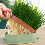Maxbell Cat Grass Germination Starter Planter Multifunctional Wheatgrass Growing Pot Green and Pink