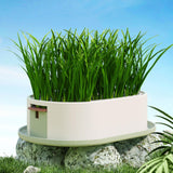 Maxbell Cat Grass Germination Starter Planter Multifunctional Wheatgrass Growing Pot Green and Pink