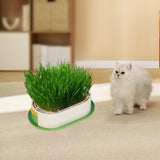 Maxbell Cat Grass Germination Starter Planter Multifunctional Wheatgrass Growing Pot Green and Yellow