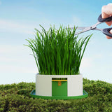Maxbell Cat Grass Germination Starter Planter Multifunctional Wheatgrass Growing Pot Green and Yellow
