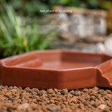 Maxbell Turtle Bathing Pool with Double Ladder Reptile Water Dish for Bearded Dragon Dark Red